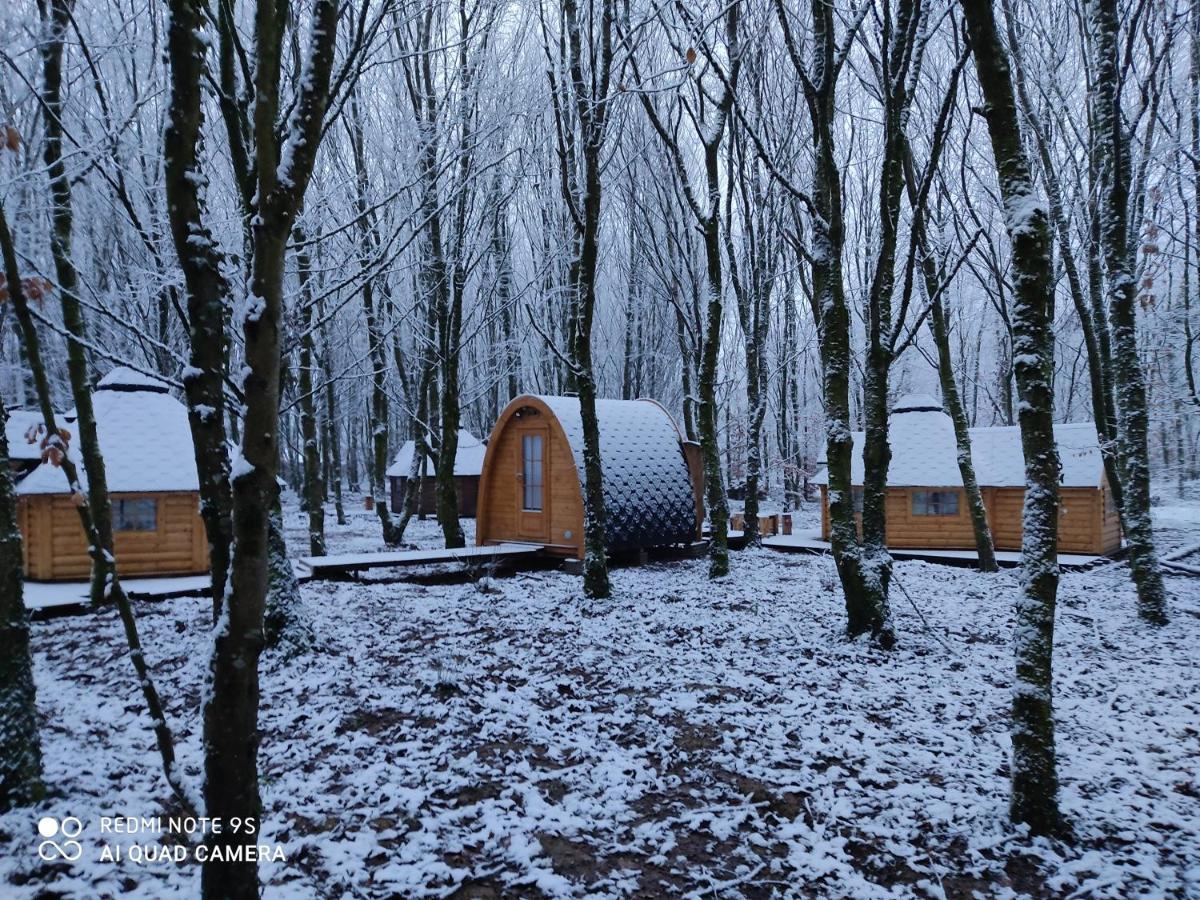 Le Domaine Insolite De Broceliande Chalet