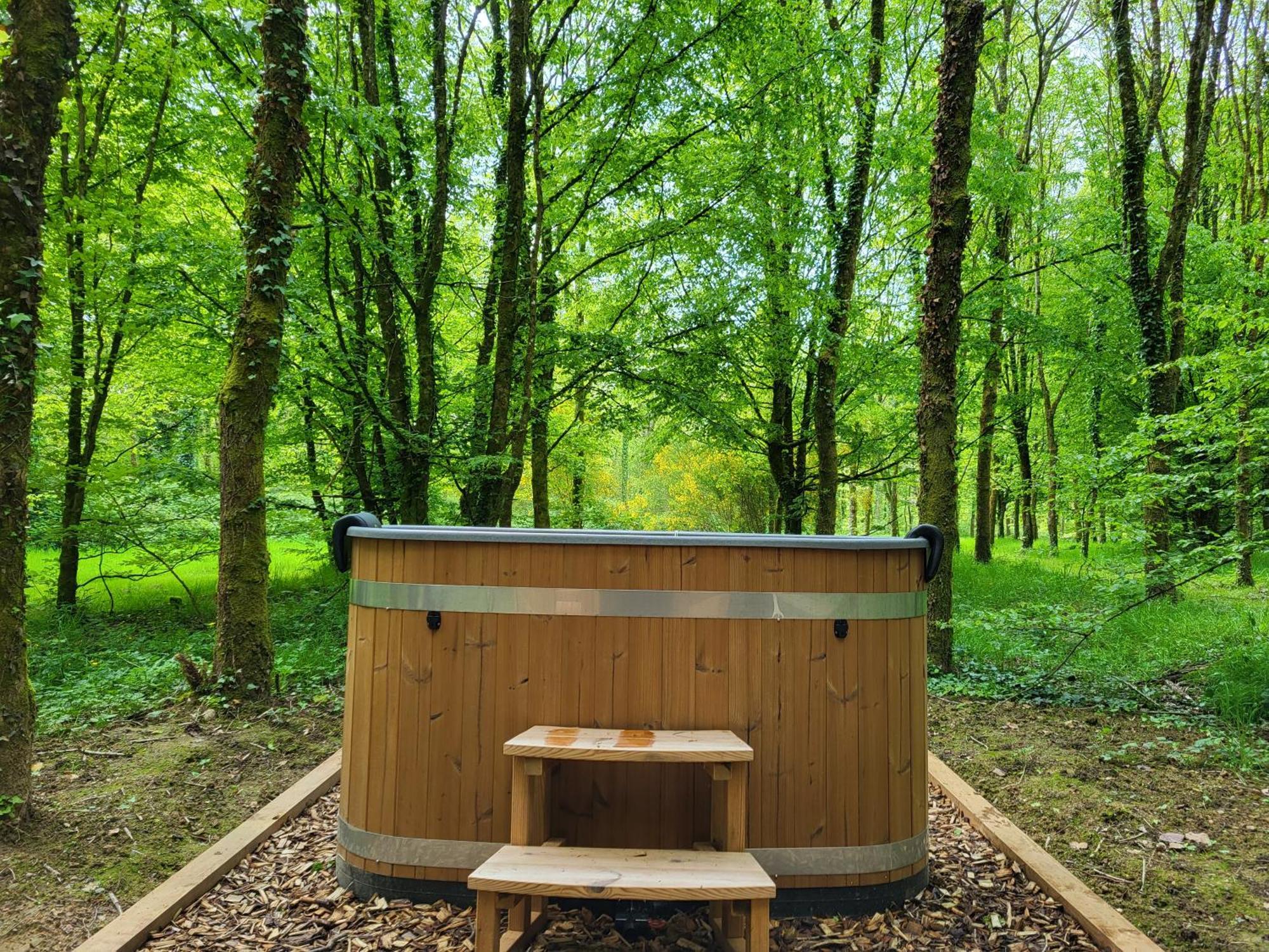 Le Domaine Insolite De Broceliande * Paimpont